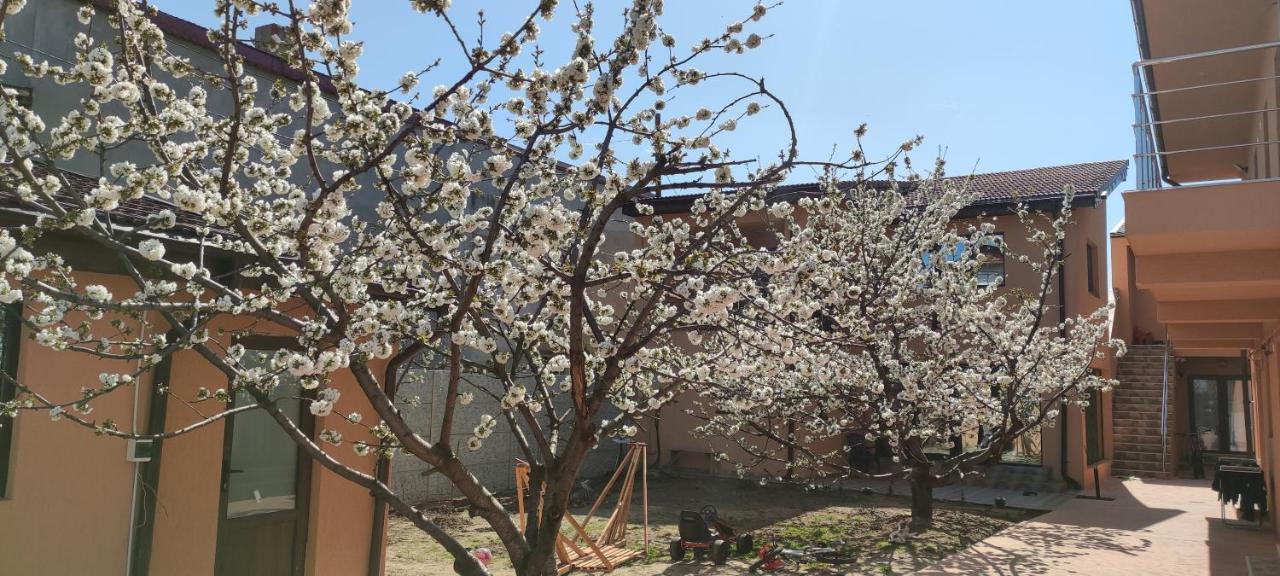 Home Naya Bükreş Dış mekan fotoğraf